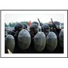 Image 1 : A training session in riot and crowd control by some units of the Belgian Army. framed black metal w