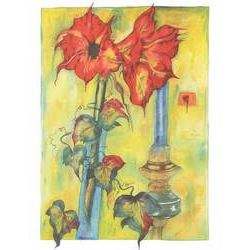 AMARYLLIS