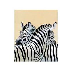 The Zebra