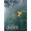 Image 1 : Dream