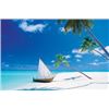 Image 1 : Paradise Found