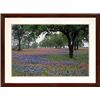 Image 1 : Texas Bluebonnet