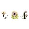 Image 1 : Flowers Triple in Color