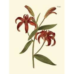 Fiery Florals I