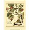 Image 1 : Mini Whimsical Butterflies I