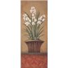 Image 1 : Paperwhites II
