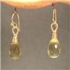 Image 1 : Victorian 156 - Silver