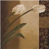 Image 1 : Tulip Pair