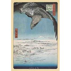 Eagle Flying Over The Fukagama District Of Edo