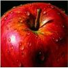 Image 1 : Apple