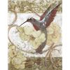 Image 1 : Humming Bird II