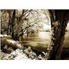 Image 1 : Spring on the River III