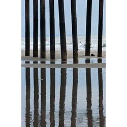 Pier Pilings 22