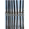 Image 1 : Pier Pilings 22