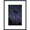 Image 1 : A view of star trails taken in the middle of a pine forest in Fonte da Telha Portugal. framed black 