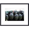 Image 1 : A training session in riot and crowd control by some units of the Belgian Army. framed black metal w