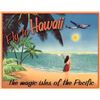 Image 1 : Fly To Hawaii