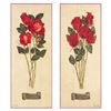 Image 1 : Romance Petites
