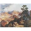Image 1 : Clouds in the Canyon