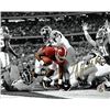 Image 1 : TJ Yeldon Signed Alabama Crimson Tide 8X10 Photo #4 (Horizontal Spotlight Vs Michigan)