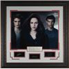 Image 1 : Taylor Lautner Unsigned Cast Photo Twilight 31X32 Engraved Signature Series Leather Framed (Entertai