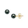 Image 1 : Akoya Cultured Pearl Stud Earrings : 14K Yellow Gold – 7 MM