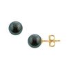 Image 1 : Tahitian Pearl Stud Earrings : 18K Yellow Gold – 10 MM
