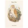 Image 1 : Strix Flammea - Barn Owl (Canvas Art)