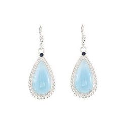 Sterling Silver Genuine Aquamarine & Blue Sapphire Earrings - Pair 21.00 X 11.00 MM
