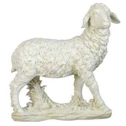 39 Scale Ivory Sheep Fig