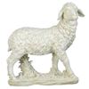 Image 1 : 39 Scale Ivory Sheep Fig