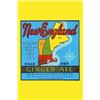 Image 1 : New England Pale Dry Ginger Ale (Paper Poster)