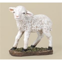 39 Scale Color Lamb 12H