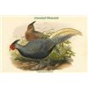 Image 1 : Euplocamus Lineatus - Lineated Pheasant (Canvas Art)