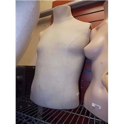 MANNIQUIN - FABRIC COVERED - TORSO - MALE
