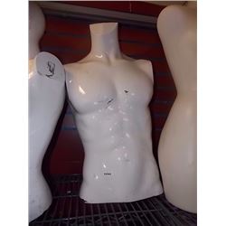 MANNQUIN - TORSO - MALE - NO HEAD NO ARMS