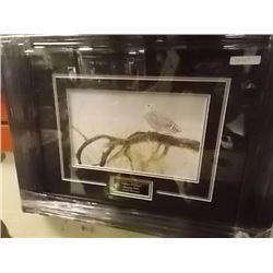 FRAMED PRINT - FALLEN WILLOW - SNOWY OWL - ROBERT BATEMAN - ESTIMATED GALLERY PRICE $