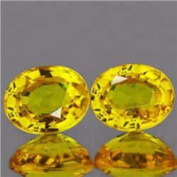 Natural Canary Yellow Sapphire Pair