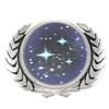 Image 4 : STAR TREK (2009) - Starfleet Pin Set