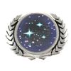 Image 4 : STAR TREK (2009) - Starfleet Pin Set