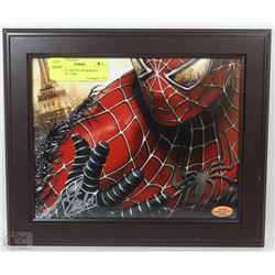 STAN LEE SIGNED SPIDERMAN MOVIE PICTURE