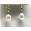 Image 1 : #17-14K YELLOW GOLD FRESH WATER PEARL EARRINGS