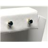 Image 1 : #30-14K YELLOW GOLD BLUE DIAMOND EARRINGS