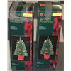 Image 1 : PAIR OF HOLIDAY COLLECTION 24" PRELIT POTTED TREES