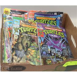 FLAT OF TEENAGE MUTANT NINGA TURTLES COMIC BOOKS