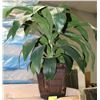 Image 1 : SHOWHOME ARTIFICIAL PLANT