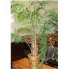 Image 1 : SHOWHOME ARTIFICIAL PLANT