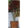 Image 1 : SHOWHOME ARTIFICIAL PLANT ON CHOICE