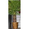 Image 1 : SHOWHOME ARTIFICIAL PLANT ON CHOICE