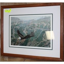 EAGLE FREEDOM FRAMED PICTURE WITH COA